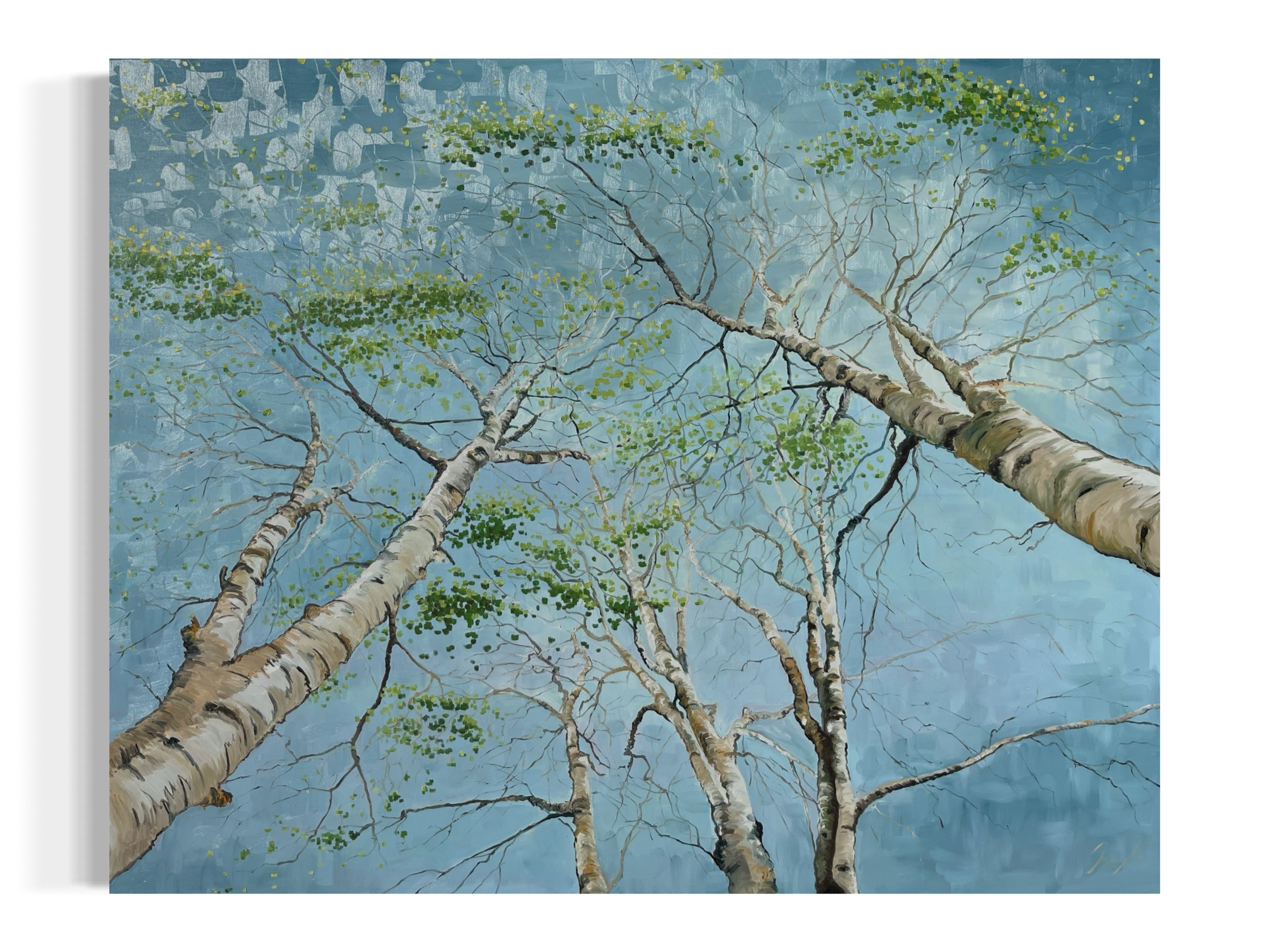 Sprde Birke 150x120cm maleri af Anne Mette Harkes