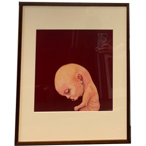 Fools - indrammet plakat af Michael Kvium 40x50cm