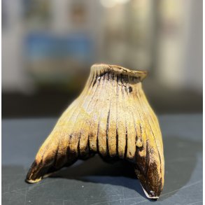 Havfrueg af Trine Vind