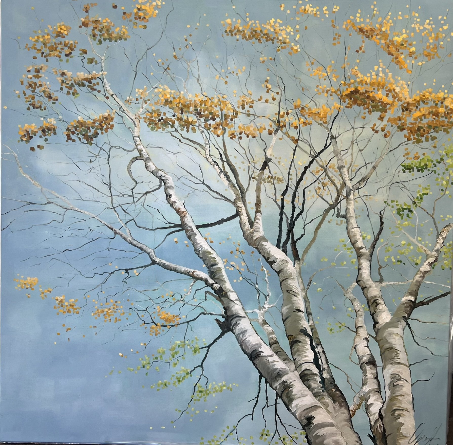 Birkene igennem farver 100x100cm maleri af Anne Mette Harkes