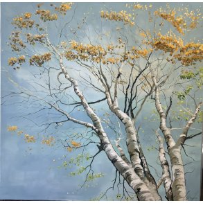 Birkene igennem farver 100x100cm maleri af Anne Mette Harkes