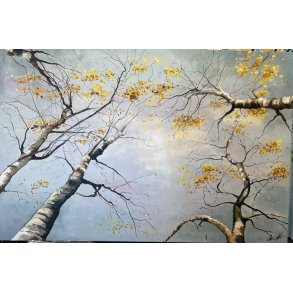 Birketrernes gyldne symfoni 100x150cm maleri af Anne Mette Harkes