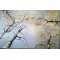 Birketrernes gyldne symfoni 100x150cm maleri af Anne Mette Harkes