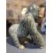 gorilla bronzeskulptur af Timor Antik