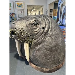 Rakubrndt hvalros  af Tage Strup