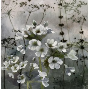 Engkarse, 80x80cm maleri af Naja Duarte