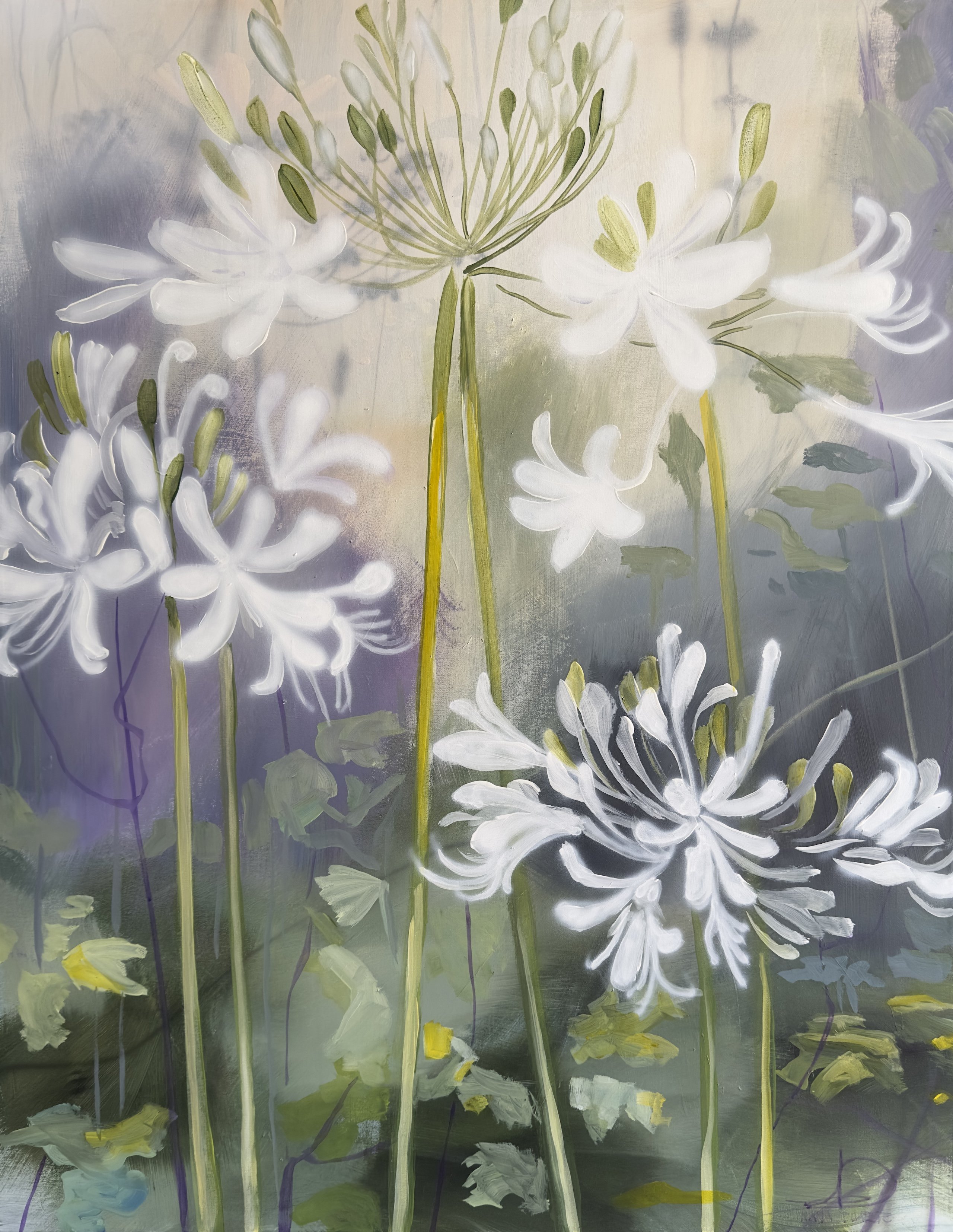 Hvide Agapantus, 70x90cm maleri af Naja Duarte
