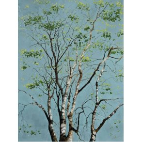 Lyse for�rsbirke 90x120cm maleri af Birketr� af Anne Mette Harkes