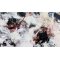 Abstrakt maleri af Rie Br�dsgaard, maleri 75x120cm