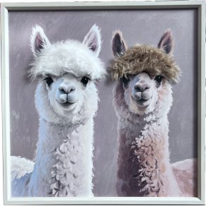 Lama, L�rredsprint med maling og h�r 60x60cm