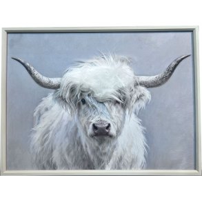 Skots H�jlandskv�g, L�rredsprint med maling og h�r 60x80cm